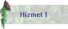 Hizmet 1