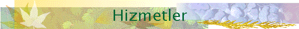 Hizmetler